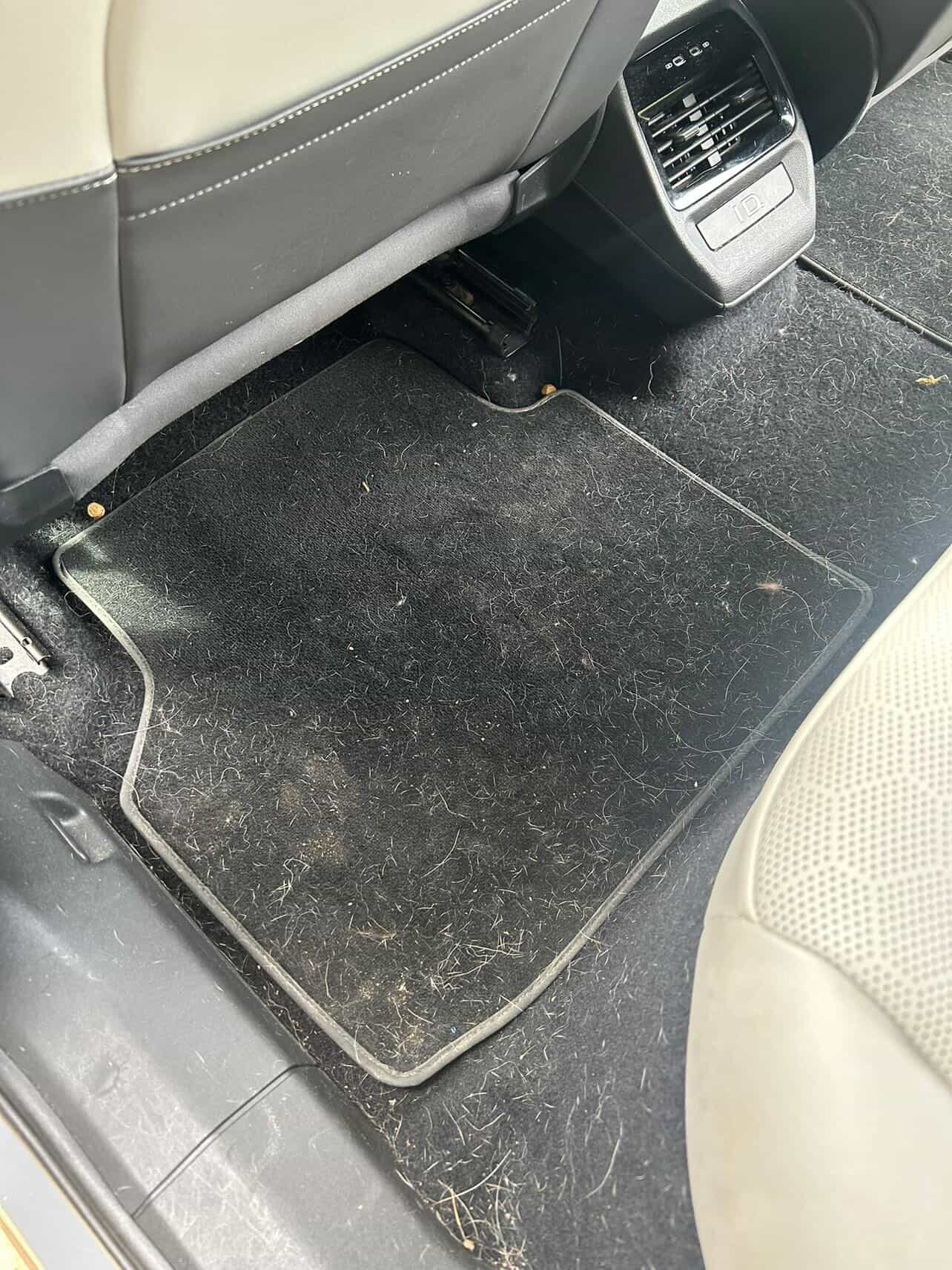 Before: pet hair mat