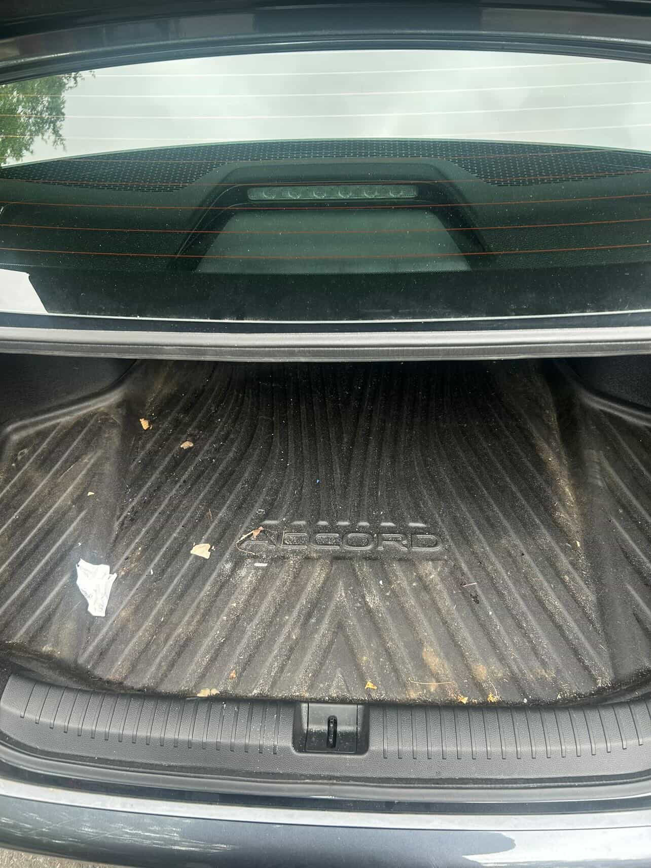Before: dirty trunk